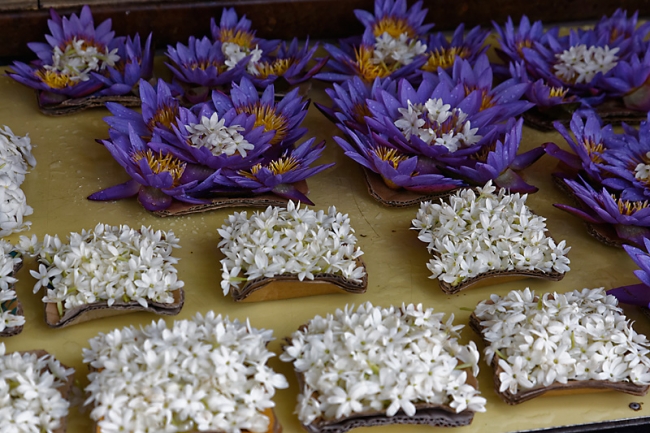 Kandy-Temple de la dent-006